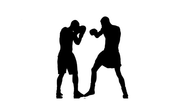 Boxer knockout opponent after a short fight. Black silhouette