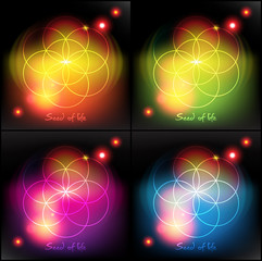 Seed of life. Sacred geometry. Colorful with realistic light and shadow on the dark background. Vector illustration. Eps10.
