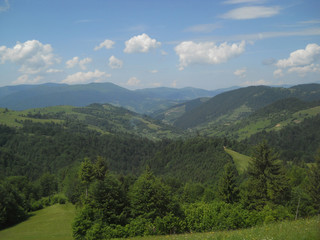 Fototapeta na wymiar Summer in the Carpathian Mountains, Ukraine near of the village Synevir