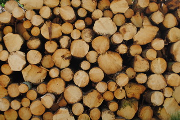 log pile