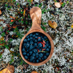 Cup of blueberries in nature from above