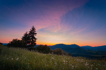Beautiful summer sunset landscape at Carpathian mountains. Meadow flowers on foreground and dramatic painted sky over. Ukraine