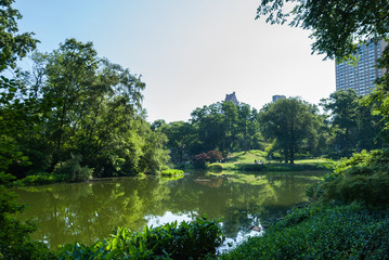 Fototapeta premium Central Park natural landscape