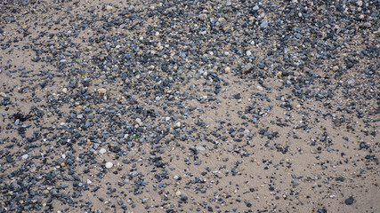 Sandy Beach with pebbles