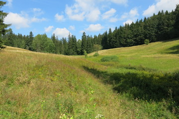 Obraz premium Bergwiese im Röthengrund