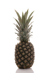Fototapeta premium ananas in ganzer form
