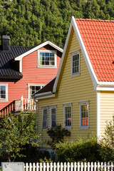 Colored Houses at Øvre Årdal at the 55, Norway