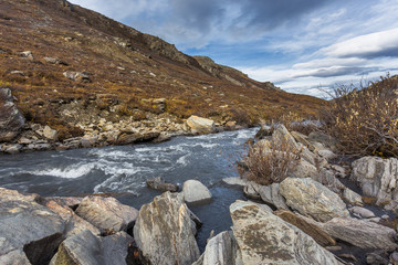 Fototapeta na wymiar Savage River in Denali National Park