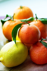 tangerines and lemons. mixed of fresh fruits with leaves.