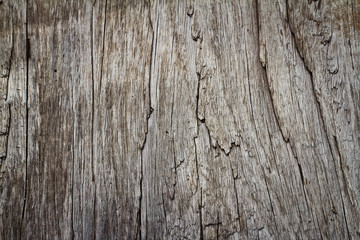 old wood texture