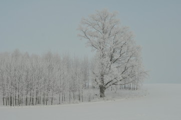 Polska - Mazury - Olsztyn