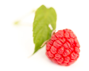 Berry garden raspberry with green leaf on a white background isolated.