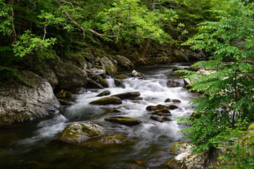Great Smokies Stream 1