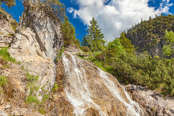waterfall in oberallgau (bavaria - germany)