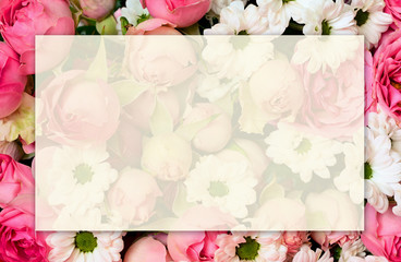 Pink roseflowers background