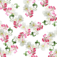 Obraz premium Beautiful floral background of jasmine and pink alstroemeria 