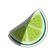 Lemon citric fruit icon vector illustration graphic design