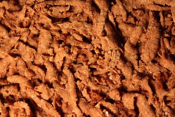 chocolate muffin close-up shot