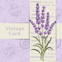 Vintage card with flowers