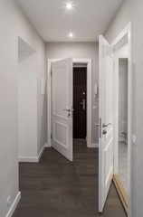 Modern flat. Hall and doors.