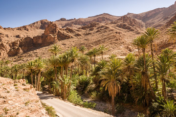 Fototapeta na wymiar road through Gorges south of Tafraoute, Morocco