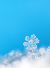 natural snowflakes on snow, photo real snowflakes during a snowfall, under natural conditions at low temperature
