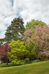 Autumn trees in the Worcestershire countryside.