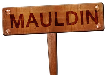 mauldin road sign, 3D rendering