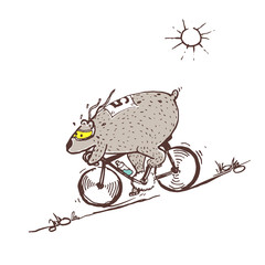 Bear riding bike fast