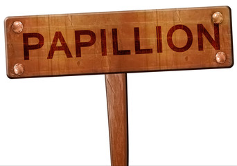 papillion road sign, 3D rendering