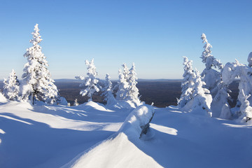 Fototapeta na wymiar Winter landscape. Mountain range Zyuratkul. Snow covered fir tre
