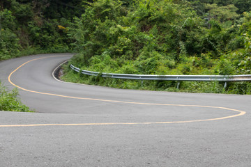 curve track in forest