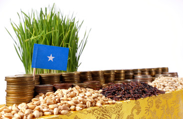 Somalia flag waving with stack of money coins and piles of wheat