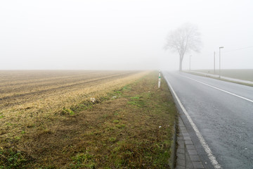 Landstraße im Nebel