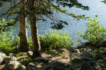 Bear Lake Rocky Mountains National Park, Colorado