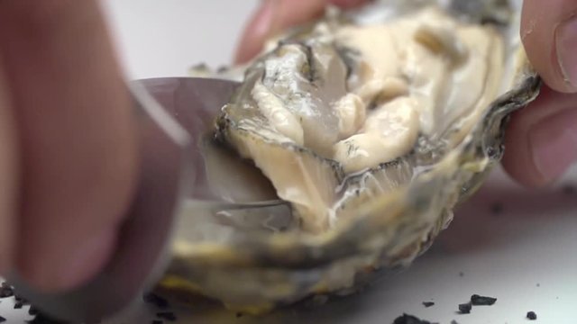 CLOSE UP SLOW MOTION: Chef opens oysters macro