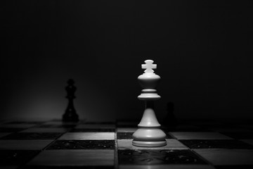 Scacchi fotografati su una scacchiera