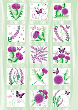 vector beautiful set of decorative Scottish flowers thistle and heather