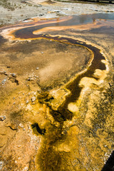 Very Graphic Result of chemicals in Yellowstone National Park ne