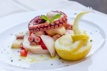 Appetizer of cuttlefish octopus and potatoes
