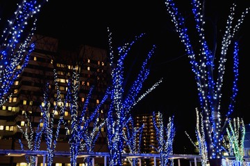 けやきのイルミネーション