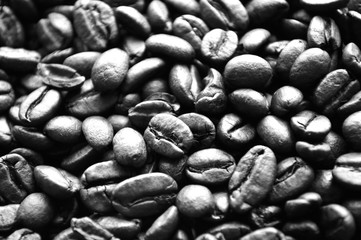 Coffee beans closeup