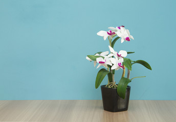 Artificial flower in vase on wooden table with blue wall background