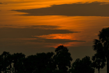 After a beautiful sunset, palm