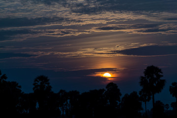 After a beautiful sunset, palm