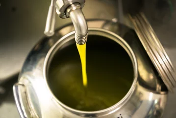 Foto op Aluminium Processing of olive oil in a modern farm. © isaac74