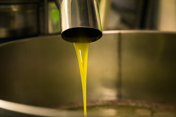 Processing of olive oil in a modern farm. - 133259140