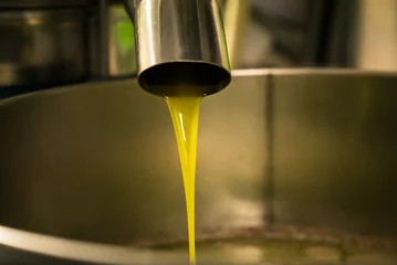 Fototapeten Processing of olive oil in a modern farm. © isaac74