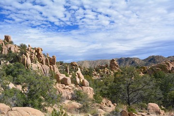 Fototapeta premium Desert Mountain Vista