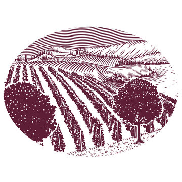 Rolling hills and a lake or river surround a idillic  picturesque view of a vineyard.

